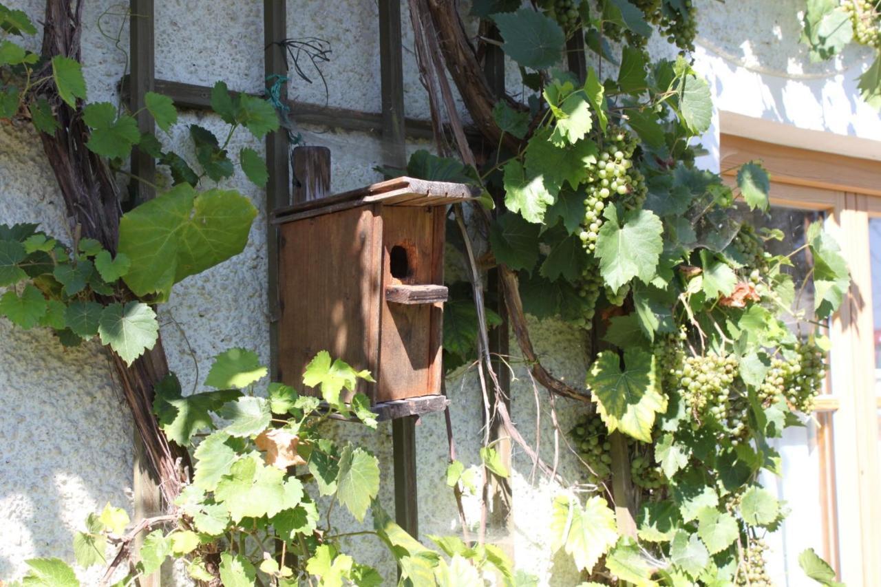 Eller * Traunwalchen